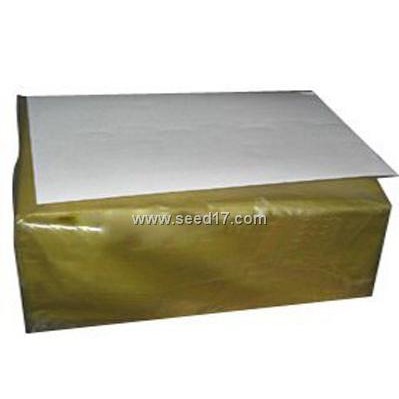 种子发芽纸 12*12cm/13*19cm